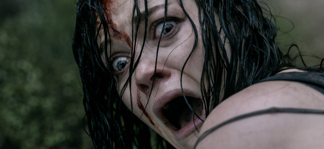 Evil Dead 2013