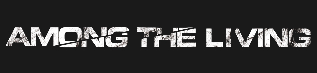 banner_among