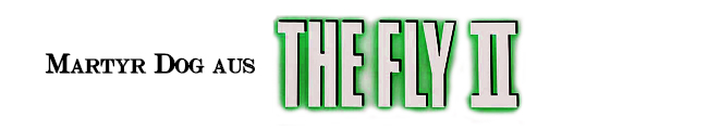 banner_fly