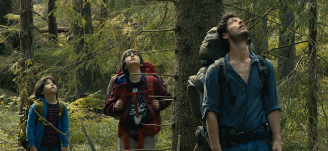 visual_picforest