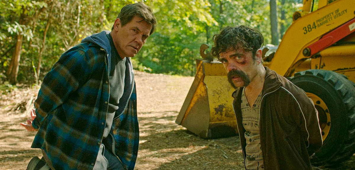 Brothers Amazon Prime
